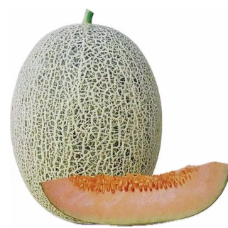 Semillas de Melón de Piel Verde Claro ME-088