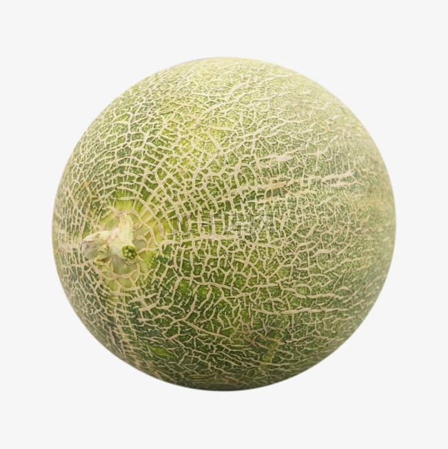 Semillas de Melón de Forma Ovalada Corta y Maduración Temprana ME-086(2)